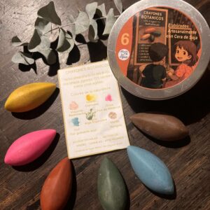 CRAYONES BOTÁNICOS X6